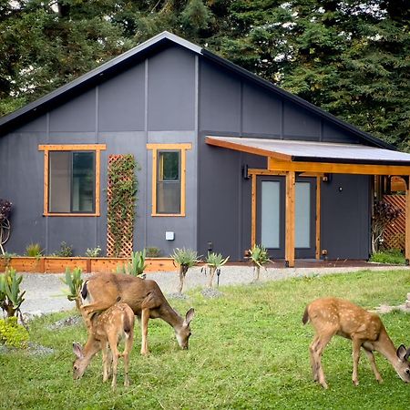 New, Modern, Country-Feel, Close To Арката Экстерьер фото