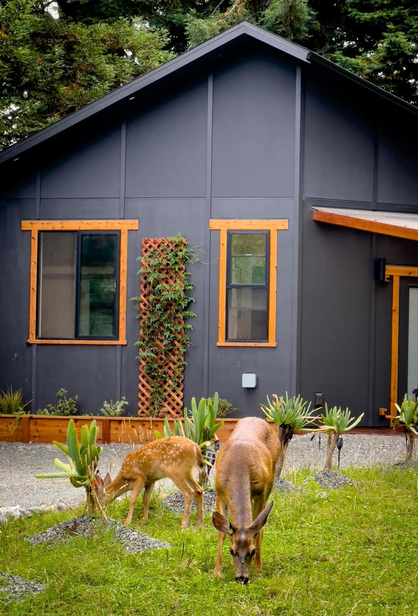 New, Modern, Country-Feel, Close To Арката Экстерьер фото