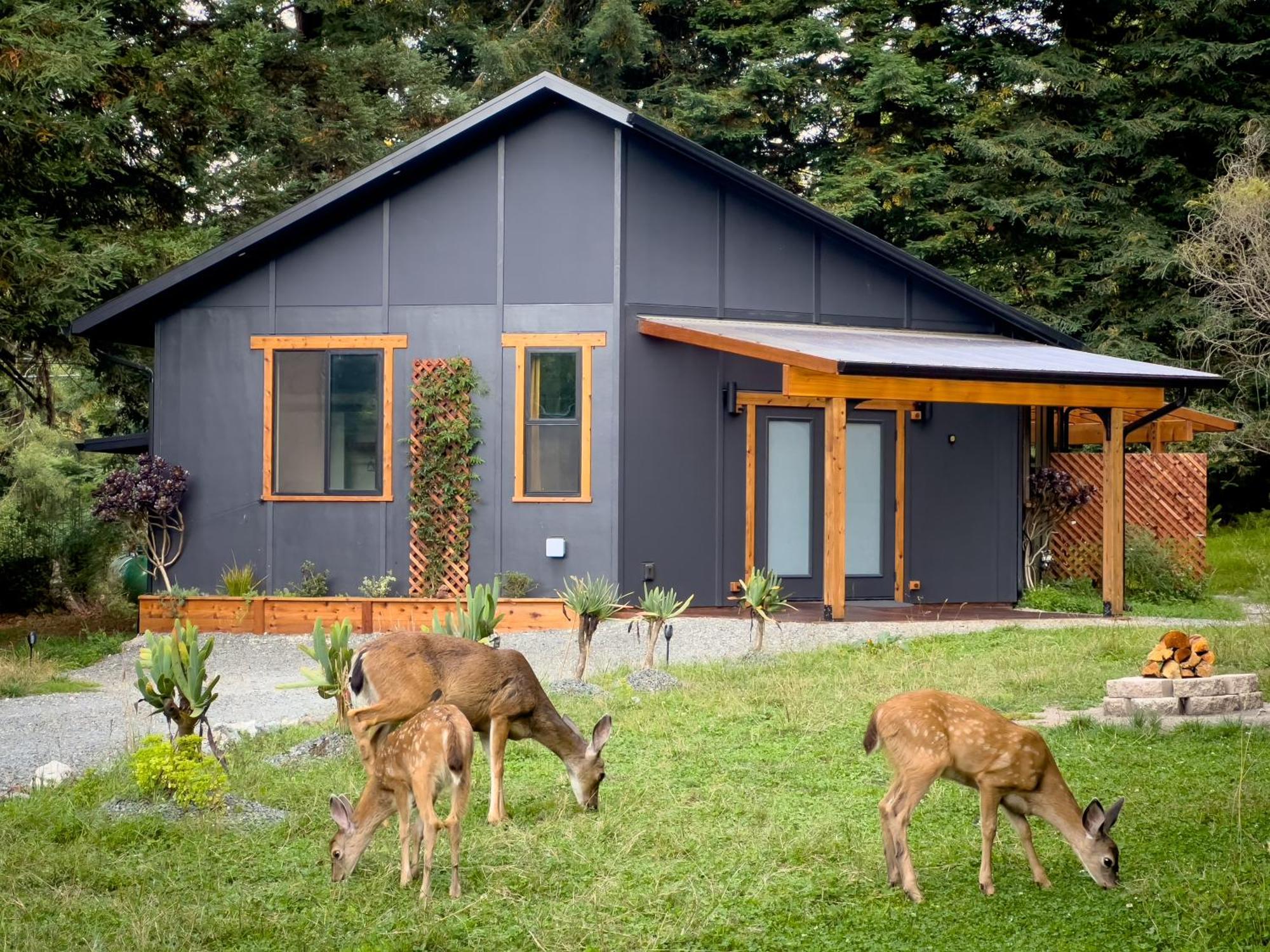 New, Modern, Country-Feel, Close To Арката Экстерьер фото